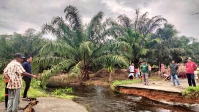 Ketua DPRK Aceh Jaya Muslem D bersama Camat Sampoiniet meninjau lokasi putus jalan di Kuala Bakong, Rabu (22/11/2023). Dok. Pribadi