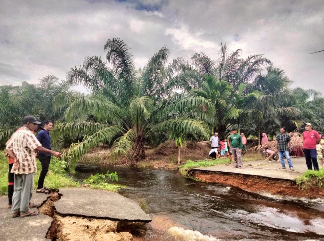 Ketua DPRK Aceh Jaya Muslem D bersama Camat Sampoiniet meninjau lokasi putus jalan di Kuala Bakong, Rabu (22/11/2023). Dok. Pribadi