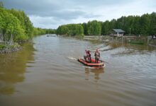 Anggota Basarnas Aceh Jaya melakukan pencarian korban tenggelam di Sungai Sayeung, Kecamatan Setia Bakti, Aceh Jaya, Minggu, (26/11/ 2023). (Foto: Distori/Zahlul Akbar)