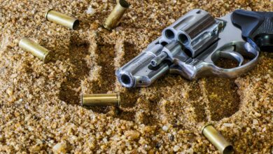 Ilustrasi senjata api (Foto: Distori/Pixabay/ Stevepb)