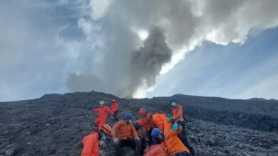 Proses evakusi korban yang meninggal saat erupsi gunung marapi yang berada di wilayah administrasi Kabupaten Agam dan Tanah Datar, Sumatera Barat. (Foto: Dok. BNPB)