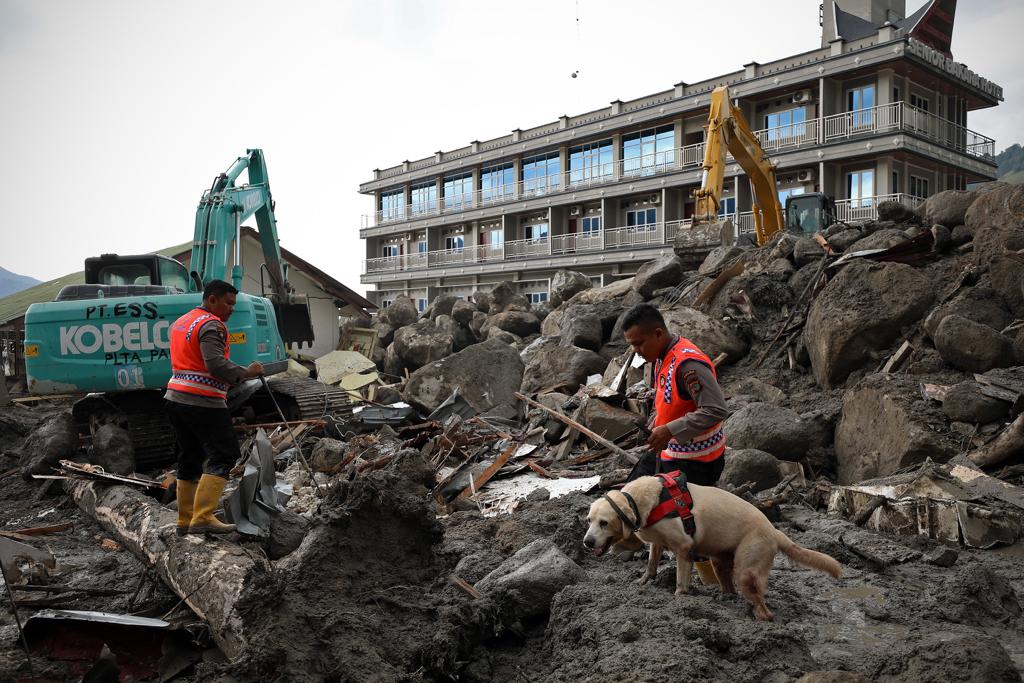 Anjing pelacak dikerahkan dalam operasi Search and Rescue (SAR) terhadap 10 warga yang masih dinyatakan hilang banjir bandang di Humbang Hasundutan (Humbahas), Sumatera Utara. (Foto: Dok. BNPB)