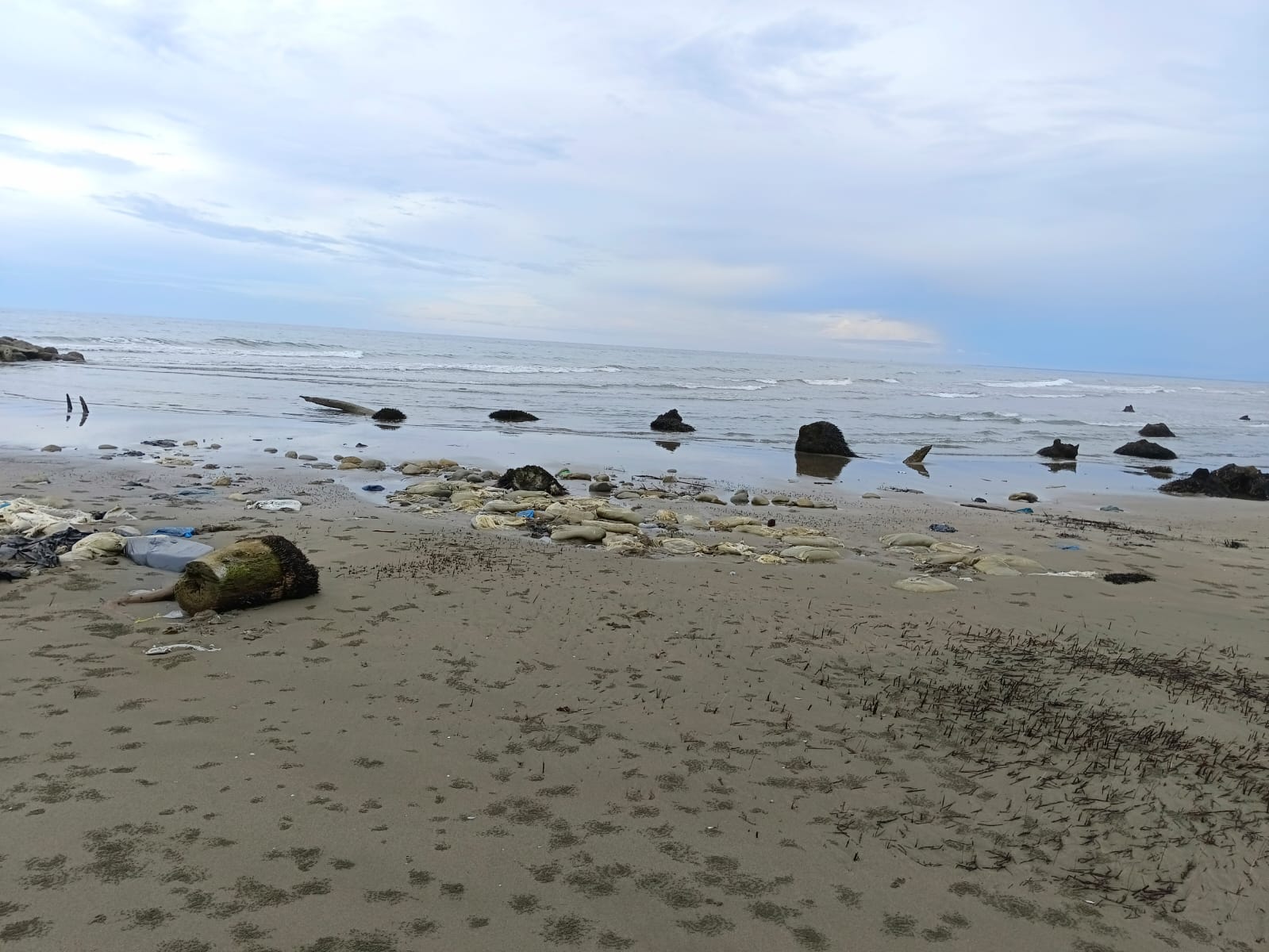 Kondisi abrasi laut di wilayah Kecamatan Meureudu dan Kecamatan Ulim, Kabupaten Pidie Jaya. (Foto: Dok. Pribadi)