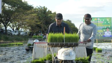 Pj Gubernur Aceh, Achmad Marzuki mendampingi Wakil Menteri Pertanian RI, Harvick Hasnu Qolbi pada acara gerakan percepatan tanam Padi di Gampong Ilie Masjid Indrapuri Aceh Besar, Jumat (22/12/2023). (Foto: Adpim Pemprov Aceh)