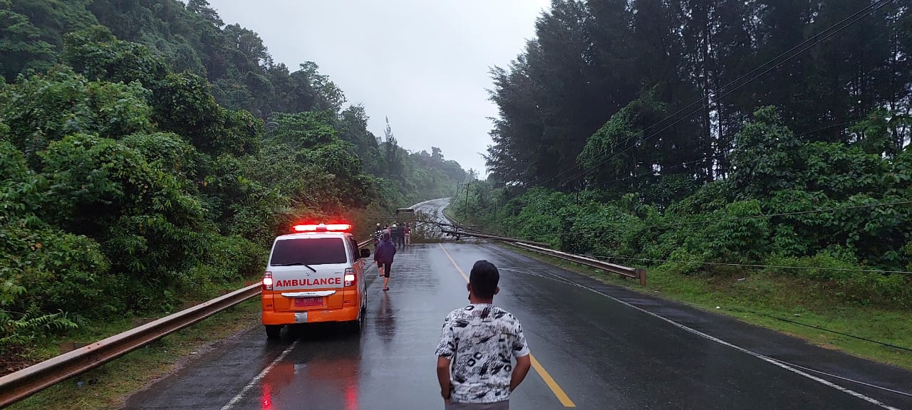 Kondisi jalan nasional Meulaboh – Banda Aceh akibat pohon tumbang, Minggu (24/12/2023) sore. (Foto: Dok. Warga)