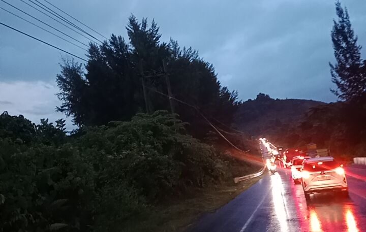 Kondisi jalan nasional Meulaboh – Banda Aceh di Kawasan Aceh Jaya mengalami macet total akibat pohon tumbang, Minggu (24/12/2023) sore. (Foto: Dok. Warga)