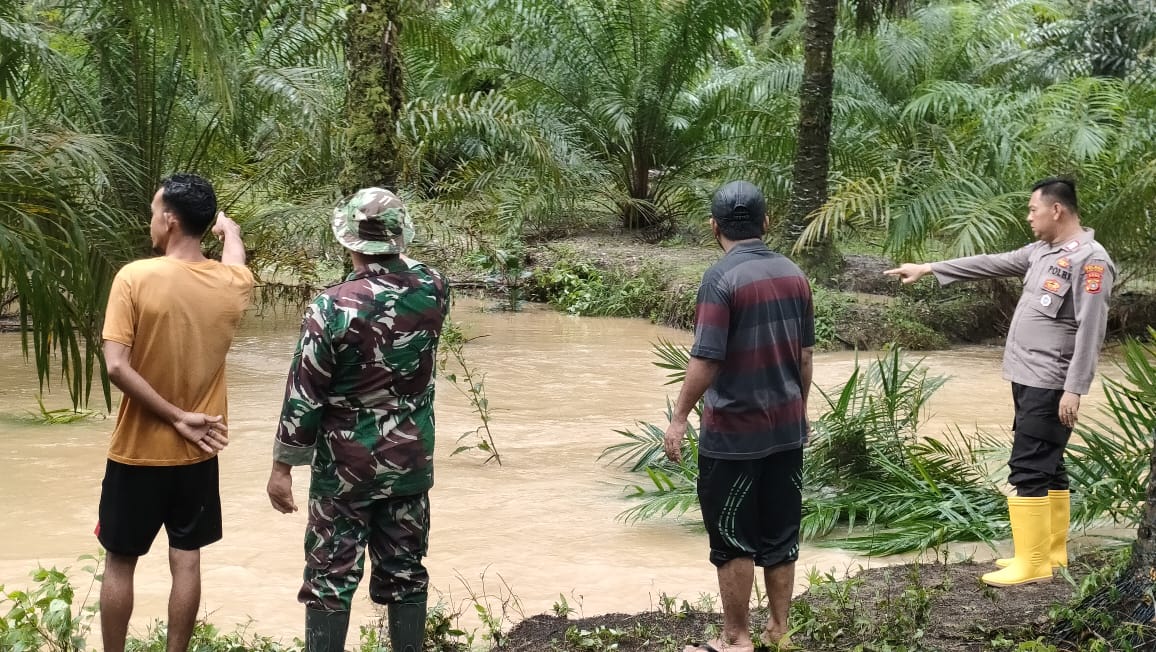Lokasi bocah yang meninggal di alur kebun sawit Dusun Bukit Tentram, Gampong Buket Hagu, Kecamatan Lhoksukon, Aceh Utara pada Minggu, (24/12/2023). (Foto: Dok. Polisi)
