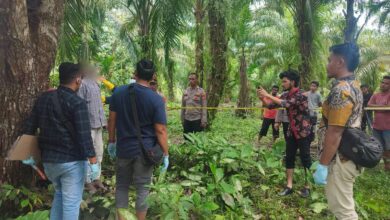 Remaja berusia 14 tahun berinisial MI ditemukan meninggal dunia tergantung di cabang pohon mangga di Aceh Utara, Jumat (29/12/2023). (Foto: Dok. Polisi)