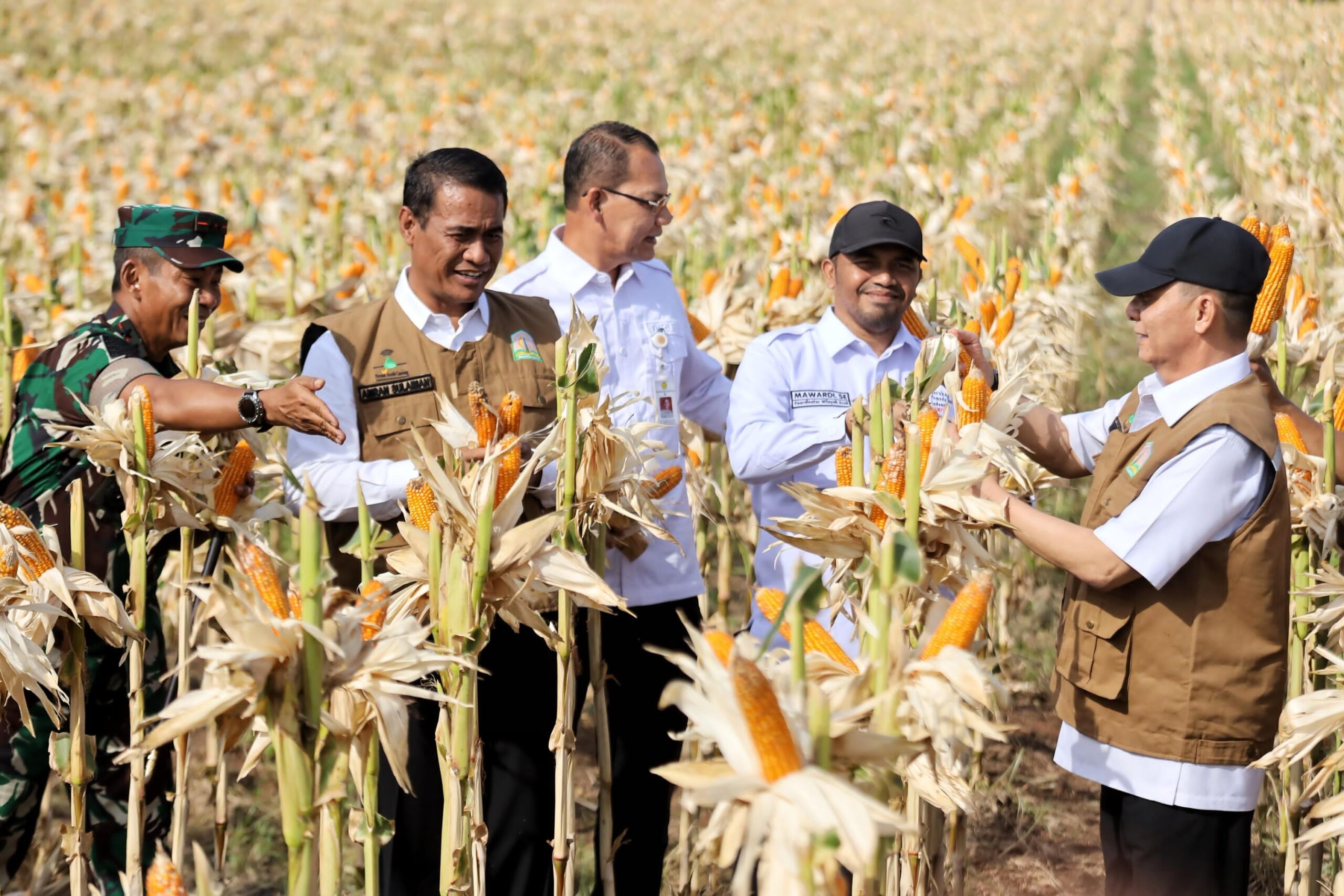 Pj Gubernur Aceh, Achmad Marzuki mendampingi Menteri Pertanian Republik Indonesia, Andi Amran Sulaiman, saat mamanen jagung di Mata Ie Desa Denong, Aceh Besar, Selasa, (6/2/2024). (Foto: DISTORI/Dok. Prokopim Pemprov Aceh)