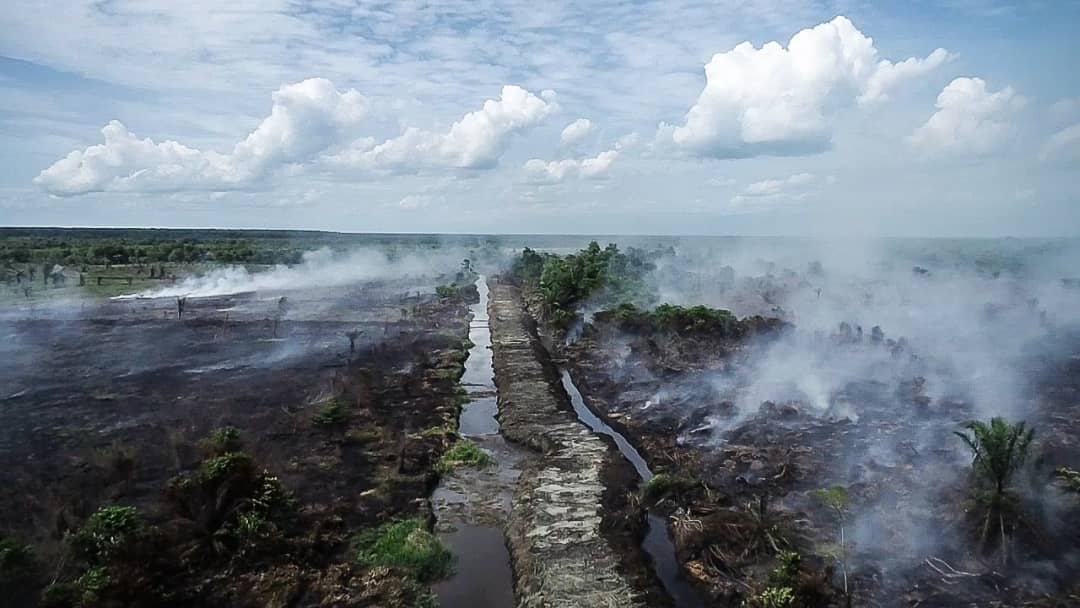 Ilustrasi - Belasan hektare lahan gambut terbakar di kawasan Pulo Kruet, Kecamatan Darul Makmur, Kabupaten Nagan Raya, Aceh, Jumat, 15 Oktober 2021. (Foto: DISTORI/Fahzian Aldevan)
