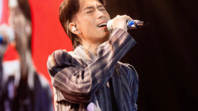 Penyanyi solo, Vidi Aldiano. (Foto: Istimewa)